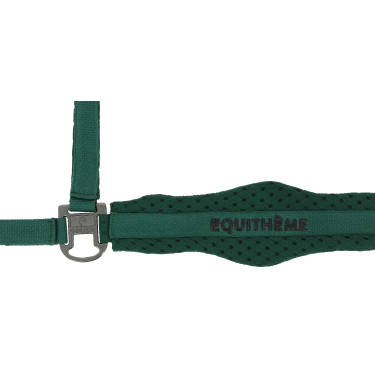 Nylon halster Equithème 3D Mesh Groen