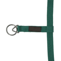 Nylon halster Equithème 3D Mesh Koningsblauw Nylon halster Equithème 3D Mesh Koningsblauw