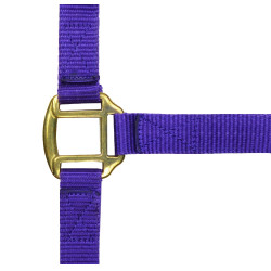 Nylon halster met lederen voering Norton Violet Nylon halster met lederen voering Norton Violet