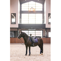 Polo bandages Imperial Riding Cosmic Sparkle Chique roze