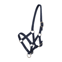 Halster veulen HV Polo Nena Wit