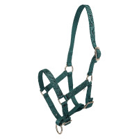 Halster veulen HV Polo Nena Eendenkleurig groen