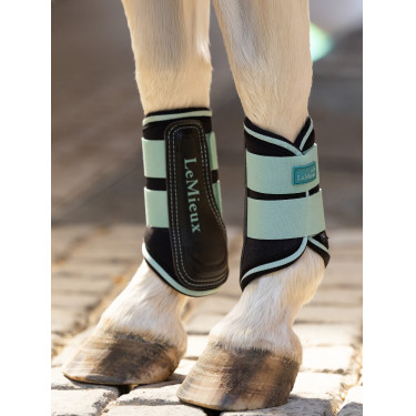 Gesloten peesbeschermers Mini LeMieux Aqua Gesloten peesbeschermers Mini LeMieux Aqua