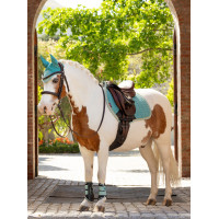 Gesloten peesbeschermers Mini LeMieux Chilli Rood Gesloten peesbeschermers Mini LeMieux Chilli Rood