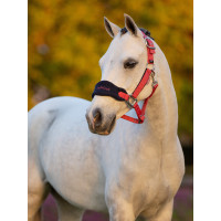 Halster schapenvacht Vogue Mini LeMieux met halstertouw Chilli Rood Halster schapenvacht Vogue Mini LeMieux met halstertouw Chilli Rood
