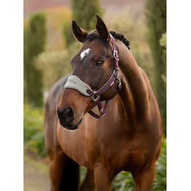 Halster en longe Lemieux Vogue Damson Violet Halster en longe Lemieux Vogue Damson Violet