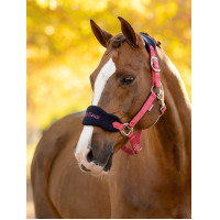 Halster en leadrope LeMieux Vogue Esme Blauw maïs