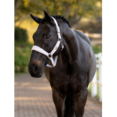 Halster LeMieux Versailles Lila Violet