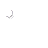 Halster LeMieux Versailles Varen Groen Halster LeMieux Versailles Varen Groen