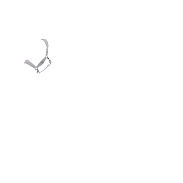 Halster LeMieux Versailles Lila Violet