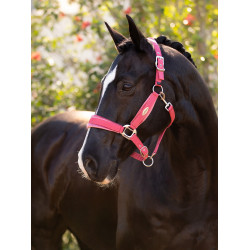Halster LeMieux Versailles Veenbes Roze