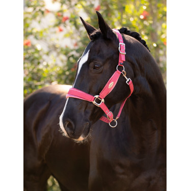 Halster LeMieux Versailles Veenbes Roze