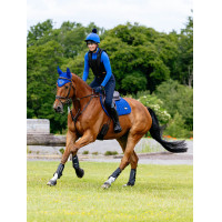 Zadeldek LeMieux Loire Close Contact Square CSO Benetton Blauw