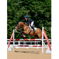 Zadeldek LeMieux Loire Close Contact Square CSO Benetton Blauw Zadeldek LeMieux Loire Close Contact Square CSO Benetton Blauw