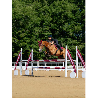 LeMieux wedstrijd zadeldek close contact vierkant - katoen Bordeaux LeMieux wedstrijd zadeldek close contact vierkant - katoen Bordeaux