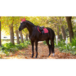 LeMieux Reflective Suede Close Contact Square Zadeldek Veenbes Roze LeMieux Reflective Suede Close Contact Square Zadeldek Veenbes Roze