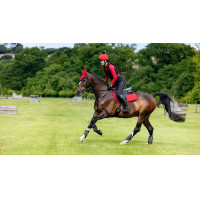 LeMieux Reflective Suede Close Contact Square Zadeldek Marineblauw