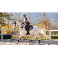 LeMieux Reflective Suede Mixte GP Square Zadeldek Rozemarijn