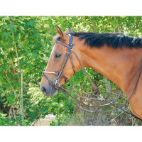Klassieke T Gogue T Donker Havana Bruin