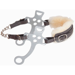 Hackamore T van T
