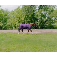 Equithème Tyrex Aisance 600D deken Pruim Violet Equithème Tyrex Aisance 600D deken Pruim Violet