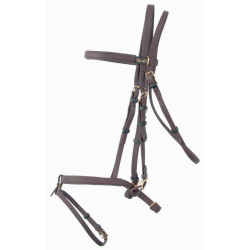 Bridon Biotack® T de T Marron