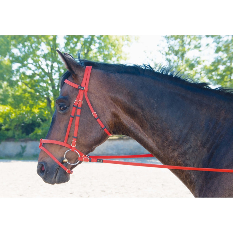 Bridon Biotack® T de T Bridon Biotack® T de T