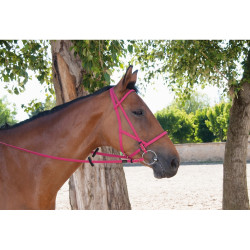 Bridon halster Biotack® T de T Fuchsia Roze Bridon halster Biotack® T de T Fuchsia Roze
