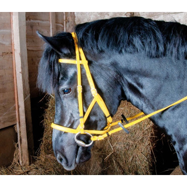 Bridon halster Biotack® T de T Geel