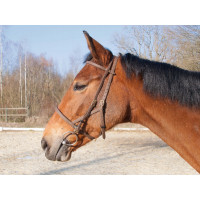 Bridon halster Biotack® T de T Bruin