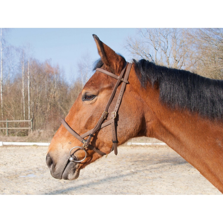 Bridon halster Biotack® T de T