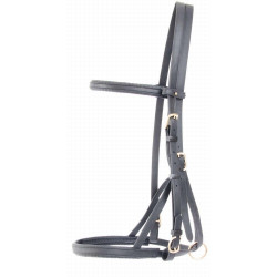 Bridon halster Biotack® T de T Zwart Bridon halster Biotack® T de T Zwart