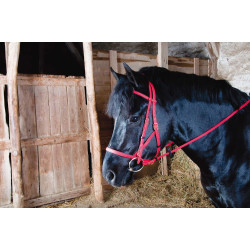 Bridon halster Biotack® T de T Rood Bridon halster Biotack® T de T Rood