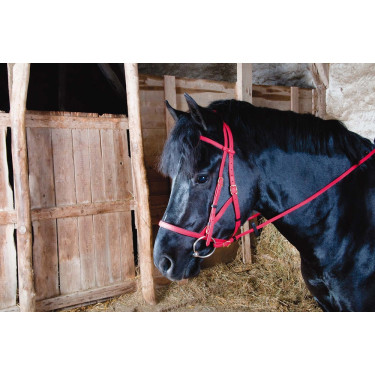 Bridon halster Biotack® T de T Rood Bridon halster Biotack® T de T Rood