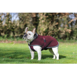 Hondenhoes Show-Line Bucas Bordeaux / grijs