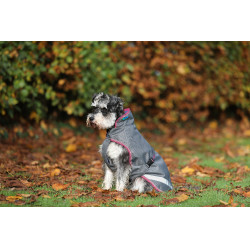 Hondendeken Bucas Freedom 50g Rookgrijs Hondendeken Bucas Freedom 50g Rookgrijs