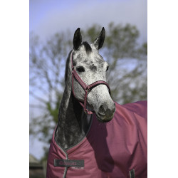 Halster Bucas Dublin Framboos Rood