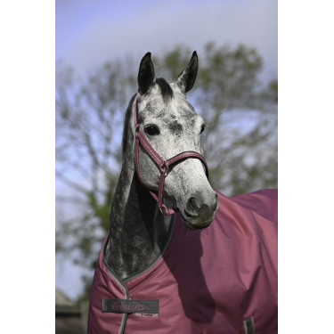 Halster Bucas Dublin Framboos Rood