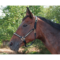 Leren halster clincher T van T Donker Havana / wit Bruin