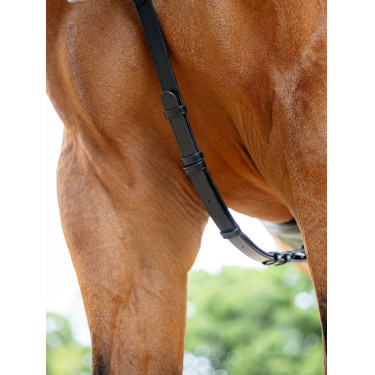 LeMieux borsttuig met brug Kudos Zwart