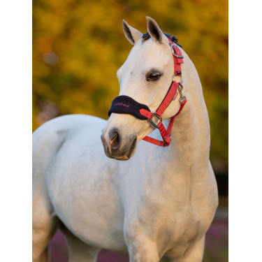 Mini LeMieux Vogue halster en halstertouw Mini LeMieux Vogue halster en halstertouw