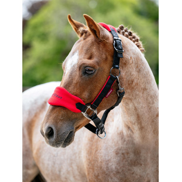 Mini LeMieux Vogue halster en halstertouw Mini LeMieux Vogue halster en halstertouw