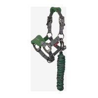 Mini LeMieux Vogue halster en halstertouw Groen hunter