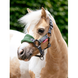 Mini LeMieux Vogue halster en halstertouw Groen hunter Mini LeMieux Vogue halster en halstertouw Groen hunter