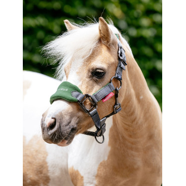 Mini LeMieux Vogue halster en halstertouw Groen hunter Mini LeMieux Vogue halster en halstertouw Groen hunter