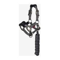 Mini LeMieux Vogue halster en halstertouw Zwart