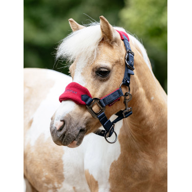 Mini LeMieux Vogue halster en halstertouw Bordeaux