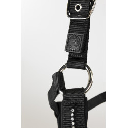 Halter en leidlijn Harcour Amour Zwart Halter en leidlijn Harcour Amour Zwart