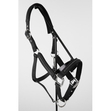 Halter en leidlijn Harcour Amour Zwart Halter en leidlijn Harcour Amour Zwart