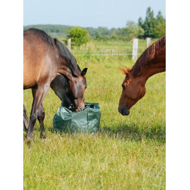 Natural'Kub Natural'Innov